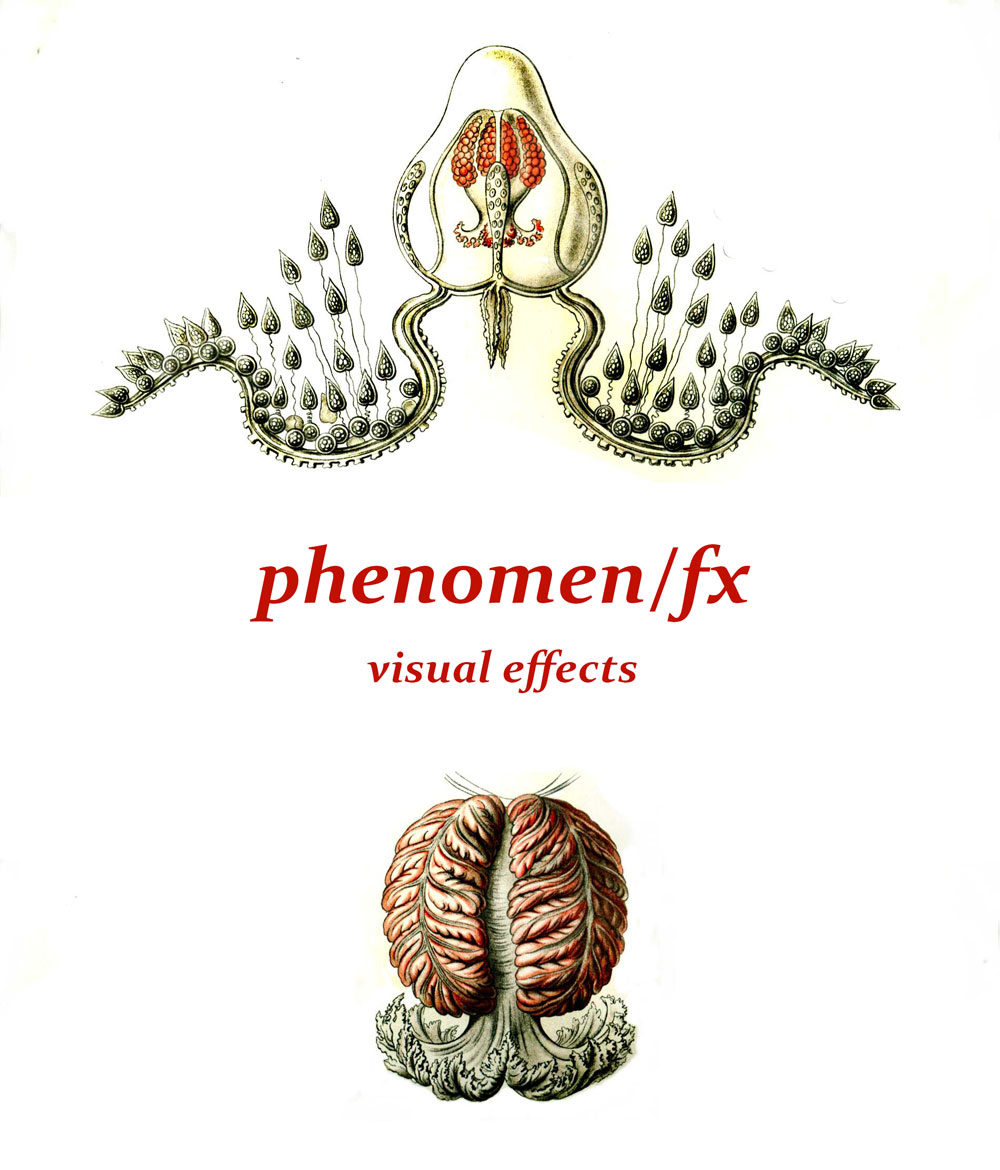 phenomen/fx visual effects