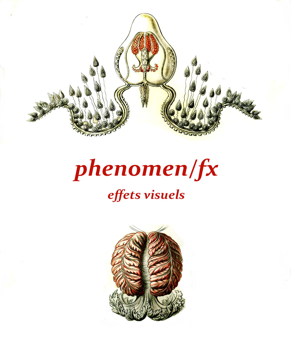 phenomen/fx effets visuels